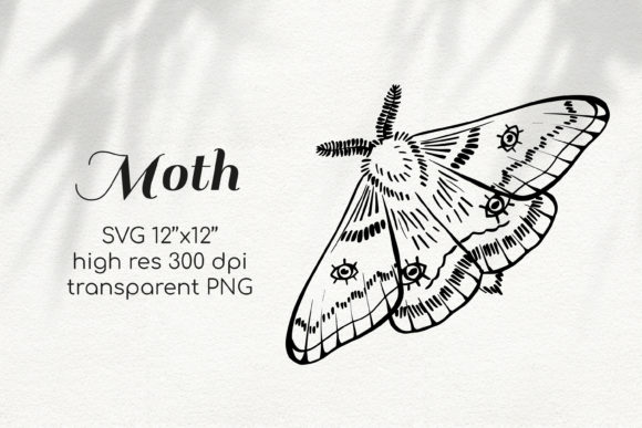 Moth Lineart Sublimation Clipart: Graphics & Illustrations