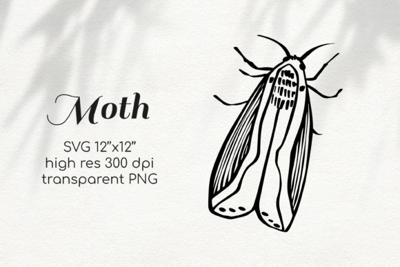 Moth Sublimation Clipart Lineart: Graphics & Illustrations