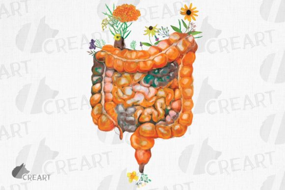 Prairie Flowers Anatomical Intestines Graphics